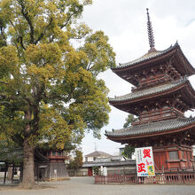 斑鳩寺
