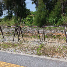 サイクルラックがあります。ロードバイクはこちらに。