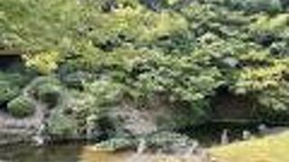 宗隣寺庭園