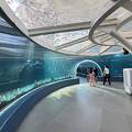 テンション上がる海外水族館！