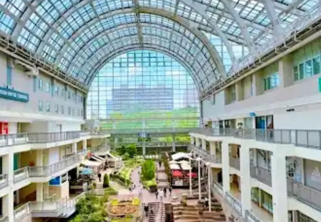 アウトドアカフェ ミールラウンジ