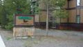 グリーン ビレッジ - インサイド ザ パーク