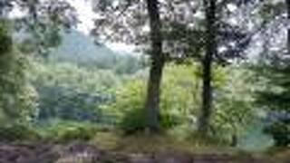 きぬの宿　志季大瀞