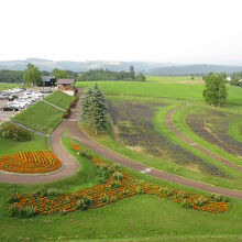 北西の丘展望公園