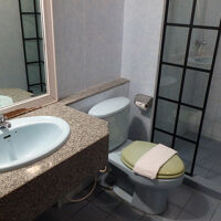 洗面台とトイレ、シャワーブース。１ヶ所にまとまっている