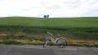 遠くから眺められる