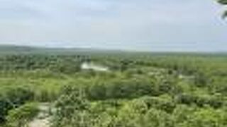 釧路湿原 二本松展望地