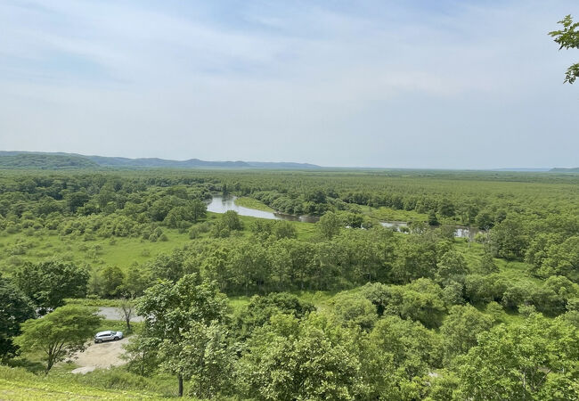 サルボ展望台やコッタロ展望台ほど歩かずに、湿原が見おろせます