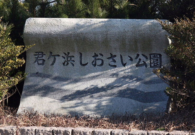 イソヒヨドリ♂が見られました。