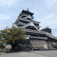 熊本城 / Kumamoto Castle