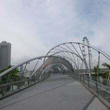 ダブル へリックス ブリッジ (ヘリックス ブリッジ)