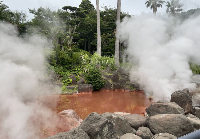 真っ赤な湯が湧き出す見ごたえ十分な血の池地獄