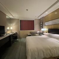 デラックスのエグゼクティブルーム。シャワーのみでした。