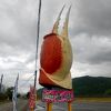 動くカニの爪が目印