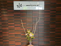 四季彩 MIZUNO