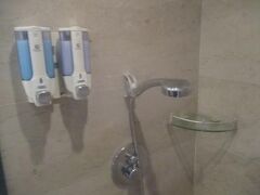 レイフォント ダウンタウン ホテル 上海 写真