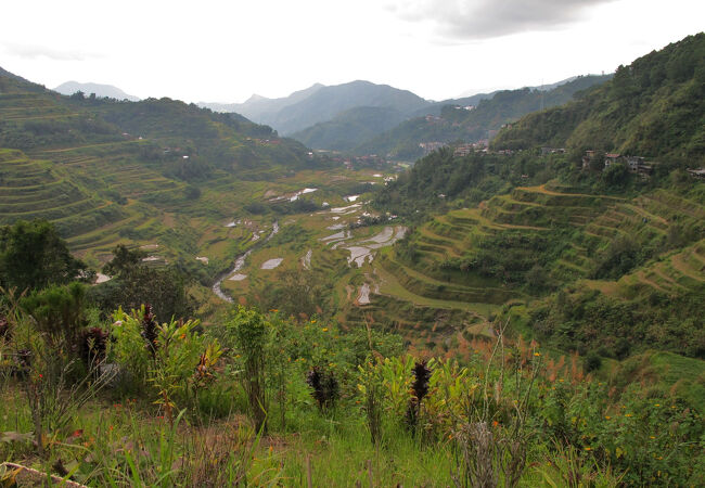 バナウェ ビュー ポイント