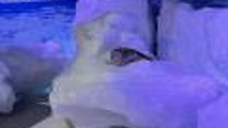 オホーツク流氷館