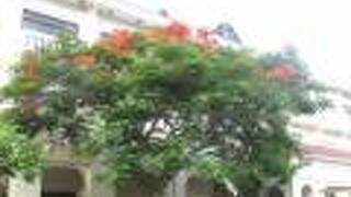 アダ・ガーデンホテル沖縄