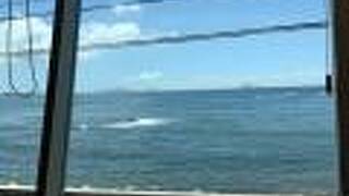 南知多温泉郷　水軍伝説の風薫る宿　花乃丸