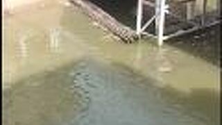 コーブア ハウス