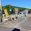 ウミホタルに感動