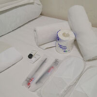 シャワー・トイレ付きツインルーム