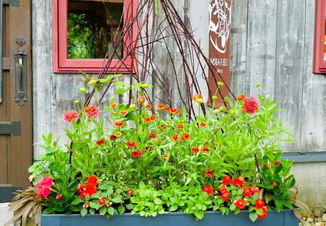 ソフトクリームが美味しい