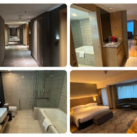 客室は質感高い