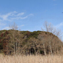東庄県民の森の風景