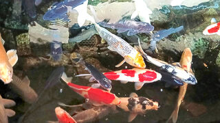 仙台秋保温泉 ホテル瑞鳳