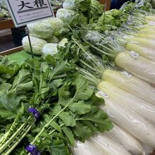 八王子産大根 立派だわ～