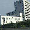 国際的雰囲気