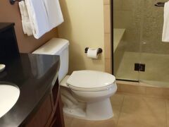 アウラニ ディズニー バケーション クラブ ヴィラズ 写真