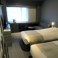 普通のツインタイプ