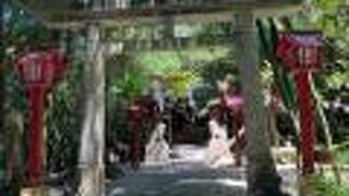 たねがしま赤米館の近く