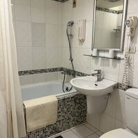 ウォシュレットはない、水圧は良好