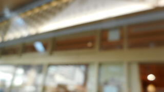 イバラキセンス