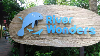 間近でパンダの観察ができました（シンガポール）