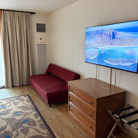 部屋は広く、ベッドにもなるソファや収納なども多めで問題なし