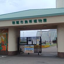 函館市熱帯植物園