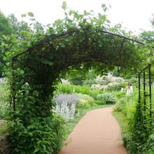 今年は歩道が一分舗装されました。