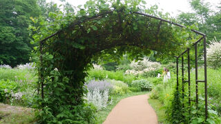 ドラマの雰囲気が残された宿根草ガーデン