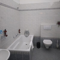 寝室は狭いのに、バスルームは広かったが、仕切りは無し