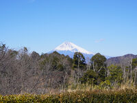 修善寺自然公園