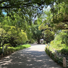 緑豊かな散歩道