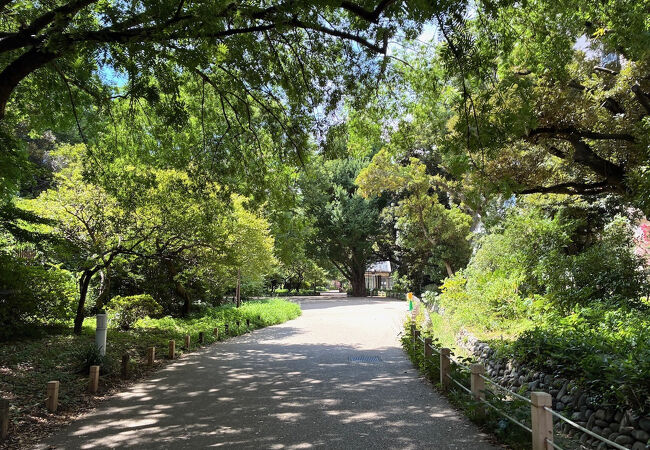 新宿御苑の北に沿う散歩道