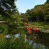六甲山にある植物園です