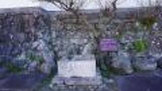 北条政子産湯の井戸