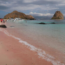 透明なブルーグリーンの海水とピンク色の砂浜の対比がきれい。